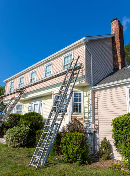 Best Stucco Siding  in Alexandria, KY